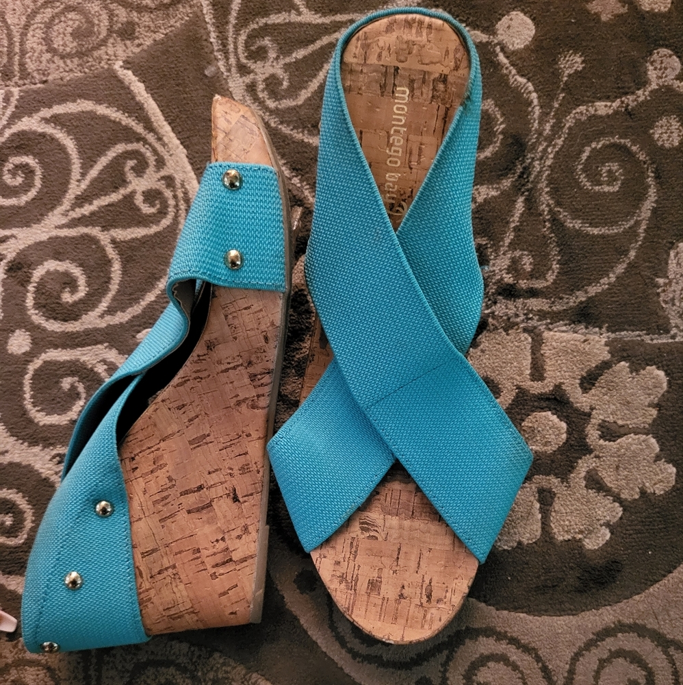 Teal wedge